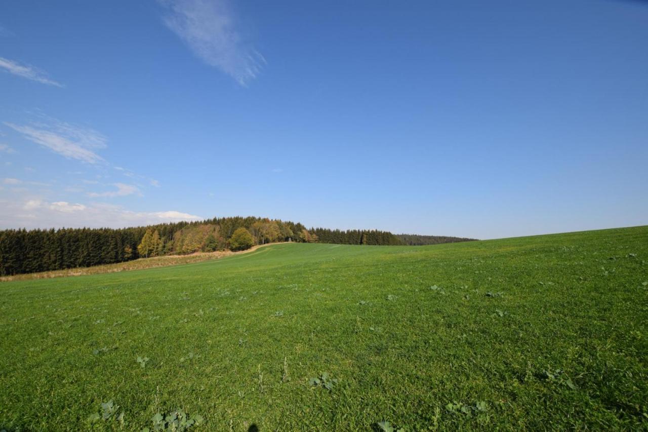 Landgasthof Wolfsgrund Hotel Dorfchemnitz Bagian luar foto